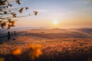 Fotografieren Lernen macht dein Leben schöner