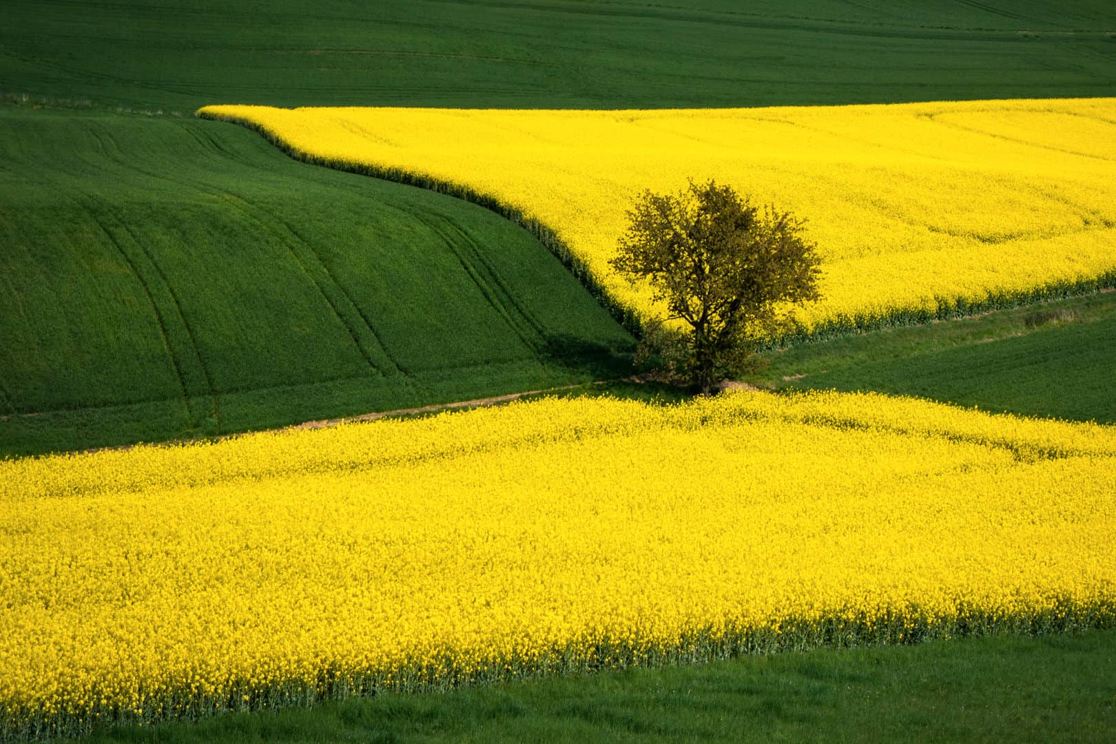 Kontrast in der Fotografie: Weit mehr als Licht und Schatten